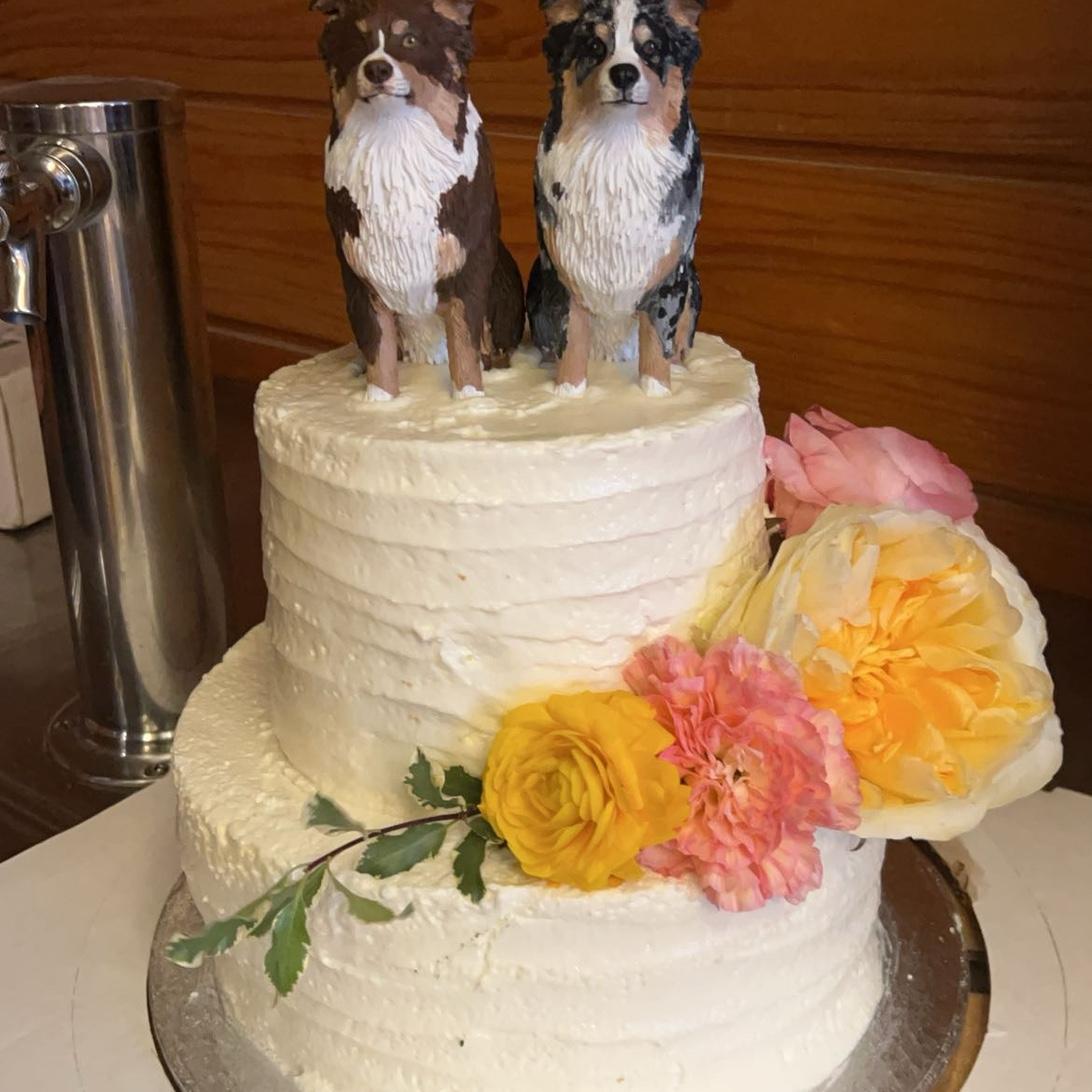 Needed to have our boys with us. Maverick & Goose!