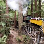 Roaring Camp in Felton
