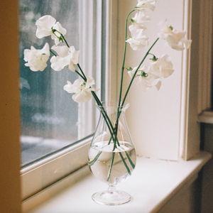 Julia Vase from Porta NYC