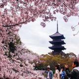 To-ji Temple