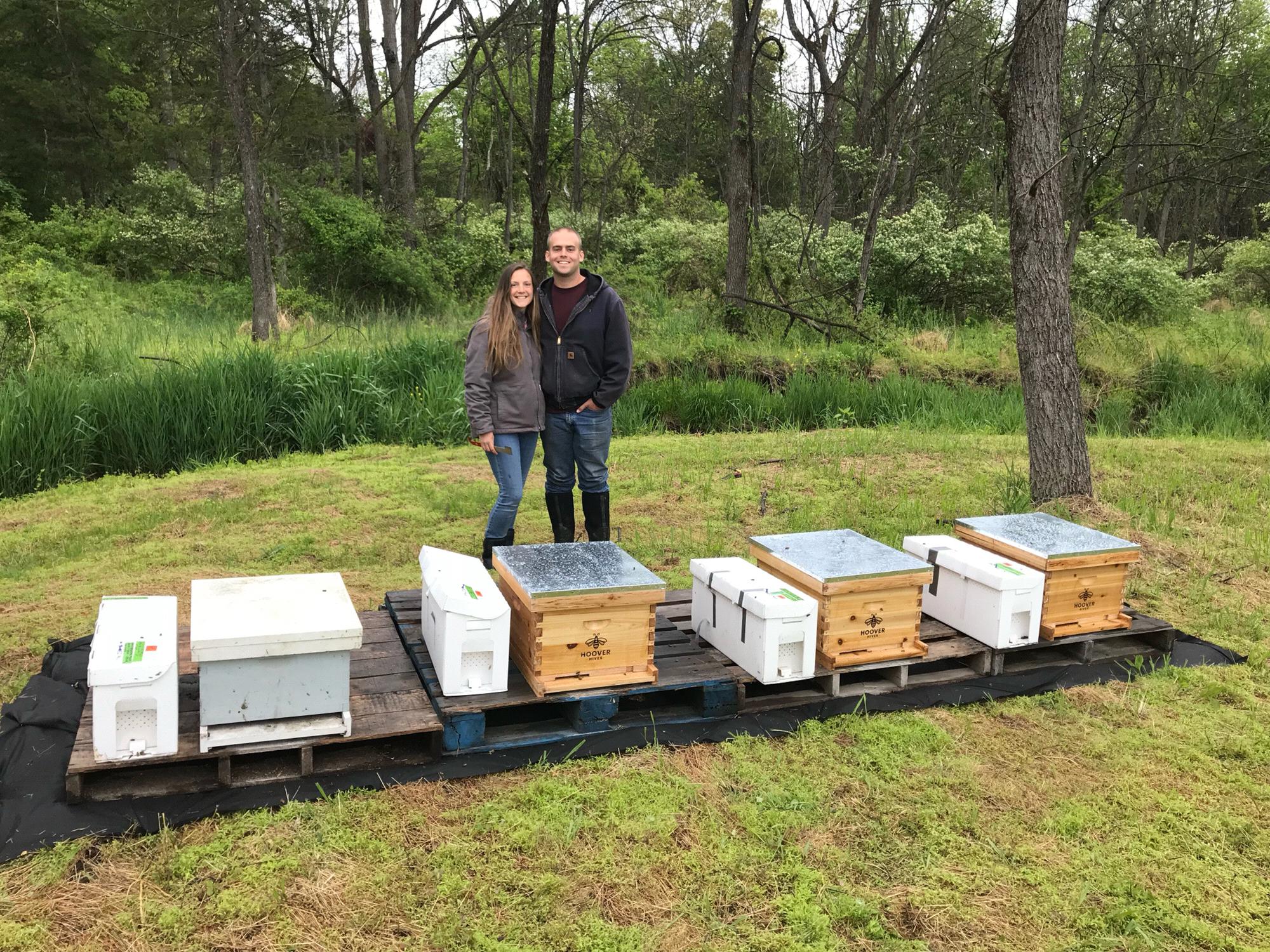 First hives!