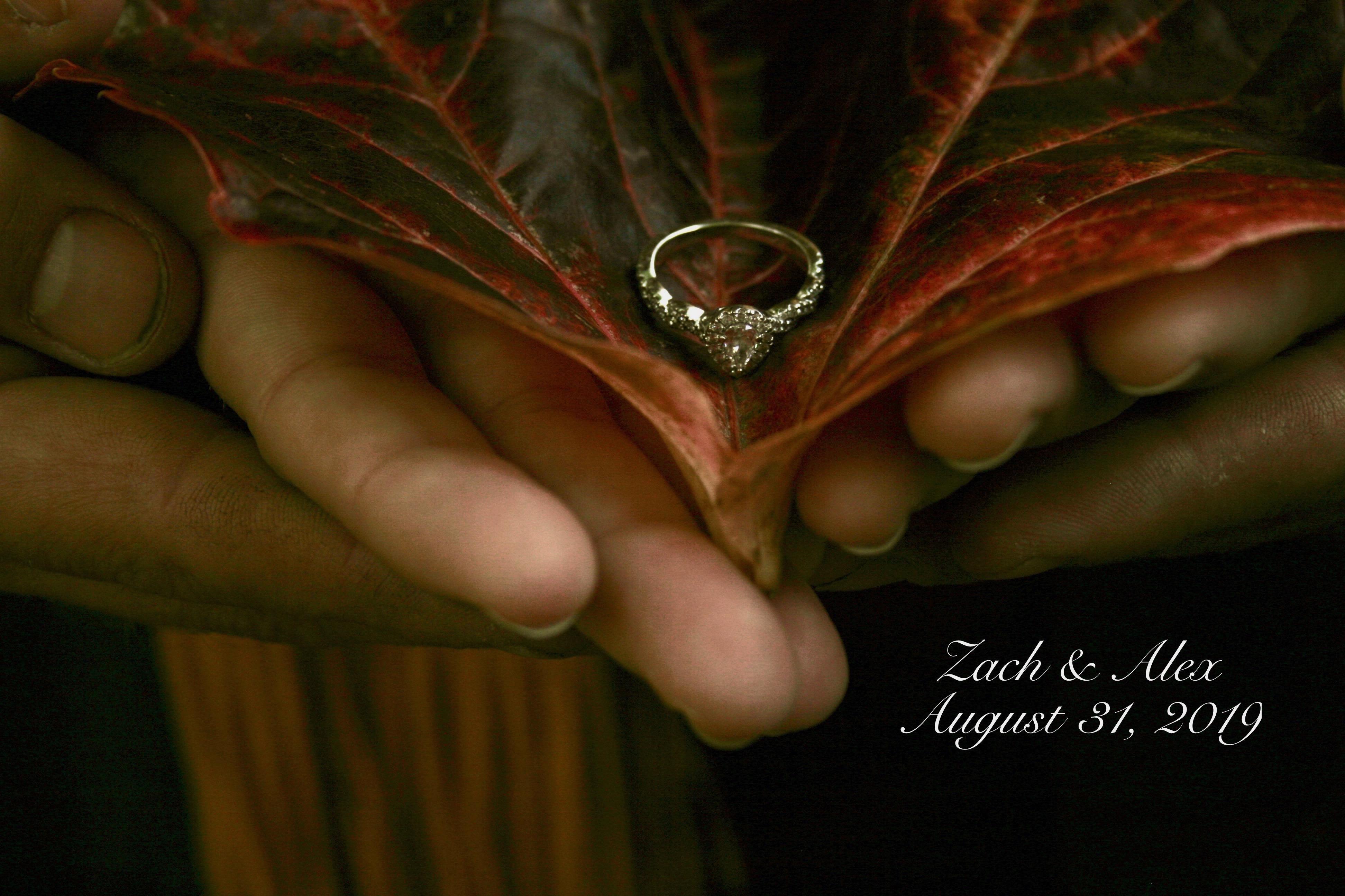 The Wedding Website of Alex Parks and Zach Bradford