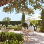 Signor Vineyards