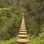 Horto Florestal - Tree Climbing/Bridges, Zipline