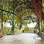 Cheekwood