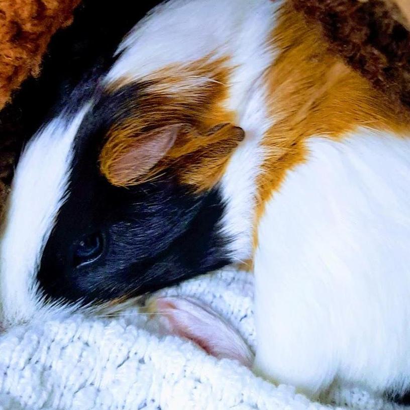 <3