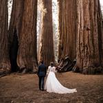 Sequoia National Forest