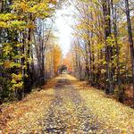 Catskill Scenic Trail