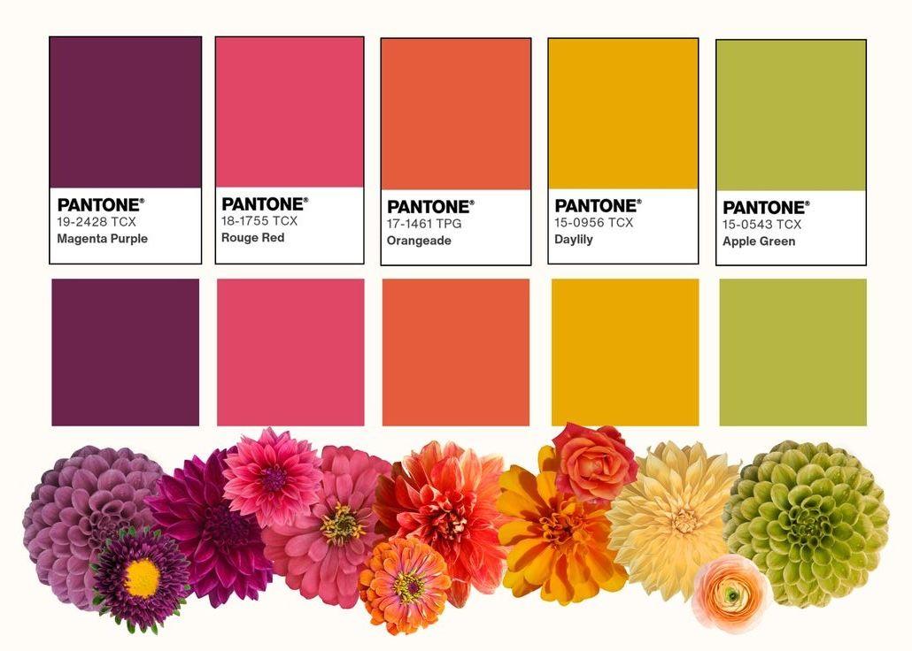 The Wedding Website of Lillian Crosby and Morgan Fuller