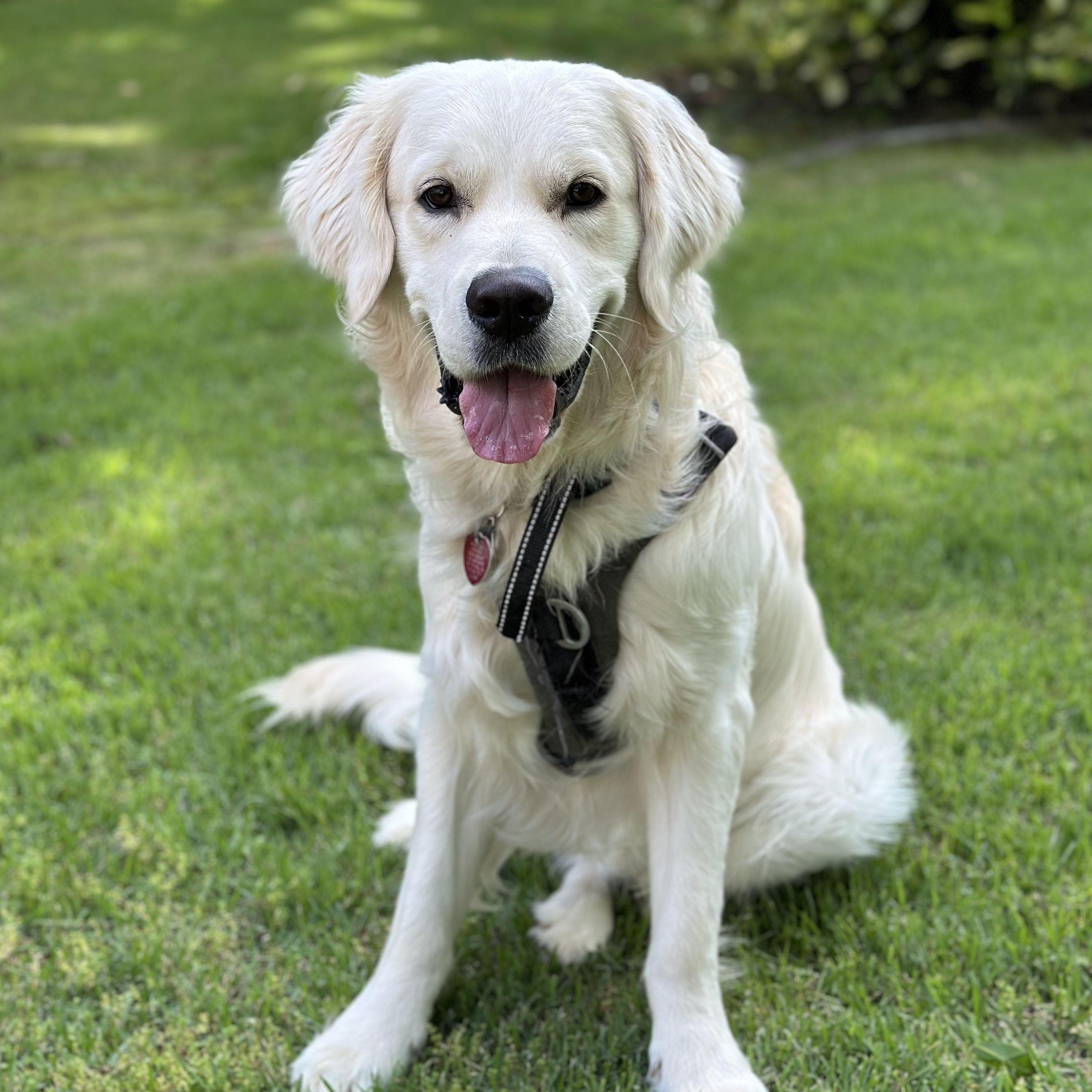 Luca
