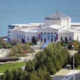 Shedd Aquarium