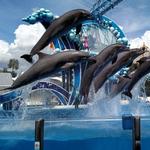 SeaWorld Orlando