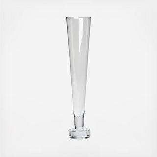 Temptationz Bubbly Champagne Glass, Set of 6