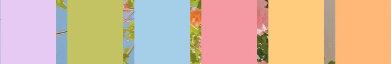 The Wedding Website of Brianna Bryant and Michael Ciminiello