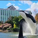 Tulalip Casino
