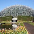 Missouri Botanical Garden
