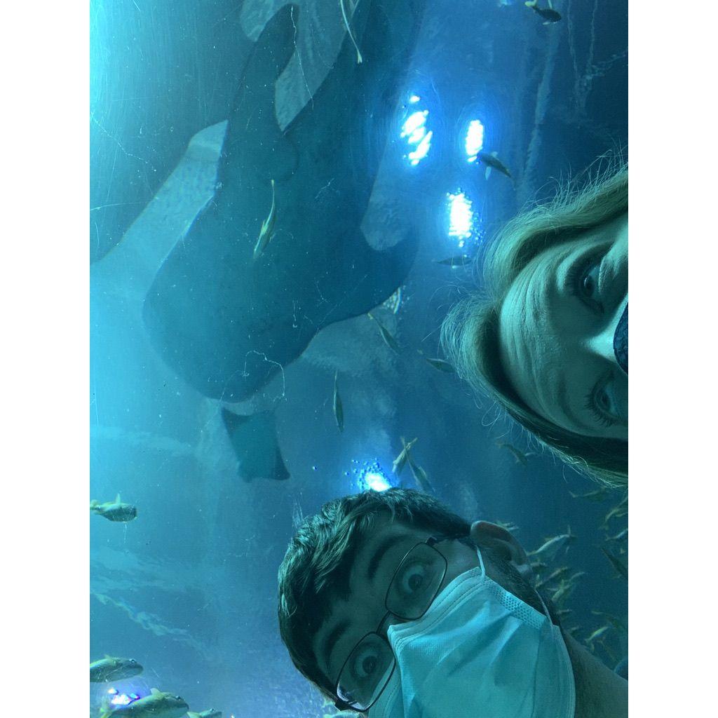 2021 - Georgia Aquarium