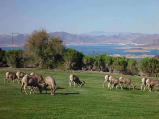 The Wedding Website of Marissa Thorsen and John Garlinghouse