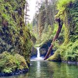 Eagle Creek Trail #440