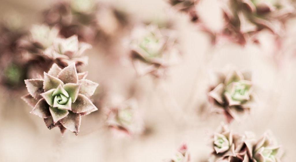Footer image