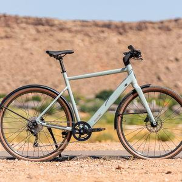 Roadster v3 Ebike