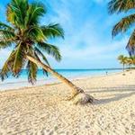Paradise Beach