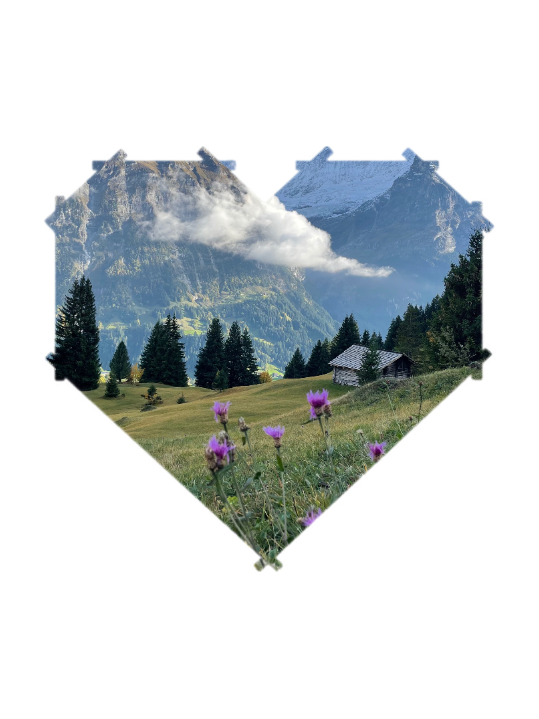 64da616f-34c4-4259-8ae9-7753023fd482