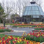 The Arboretum at Penn State