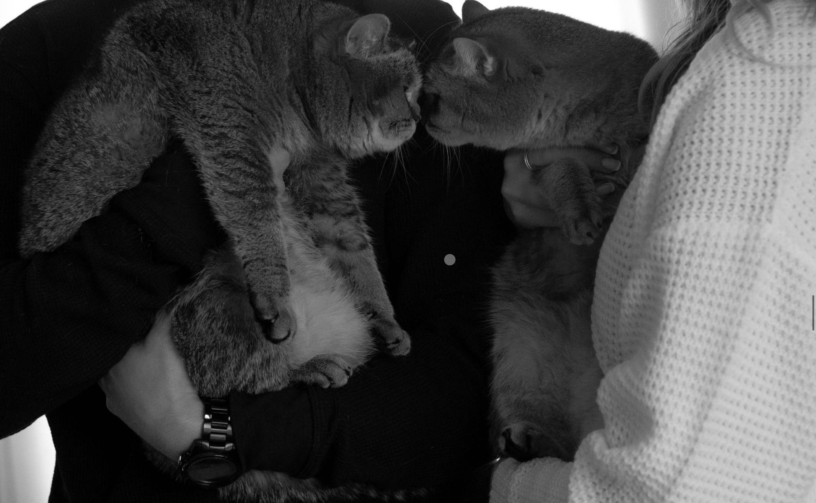 The Wedding Website of Nora Goodrich and Jeff Hammons