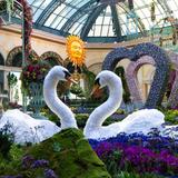 Fountains of Bellagio