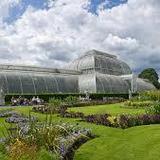 Royal Botanic Gardens, Kew