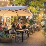 Experience the nightlife in Medellin