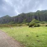 Kualoa Ranch