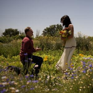 Our newlywed fund
