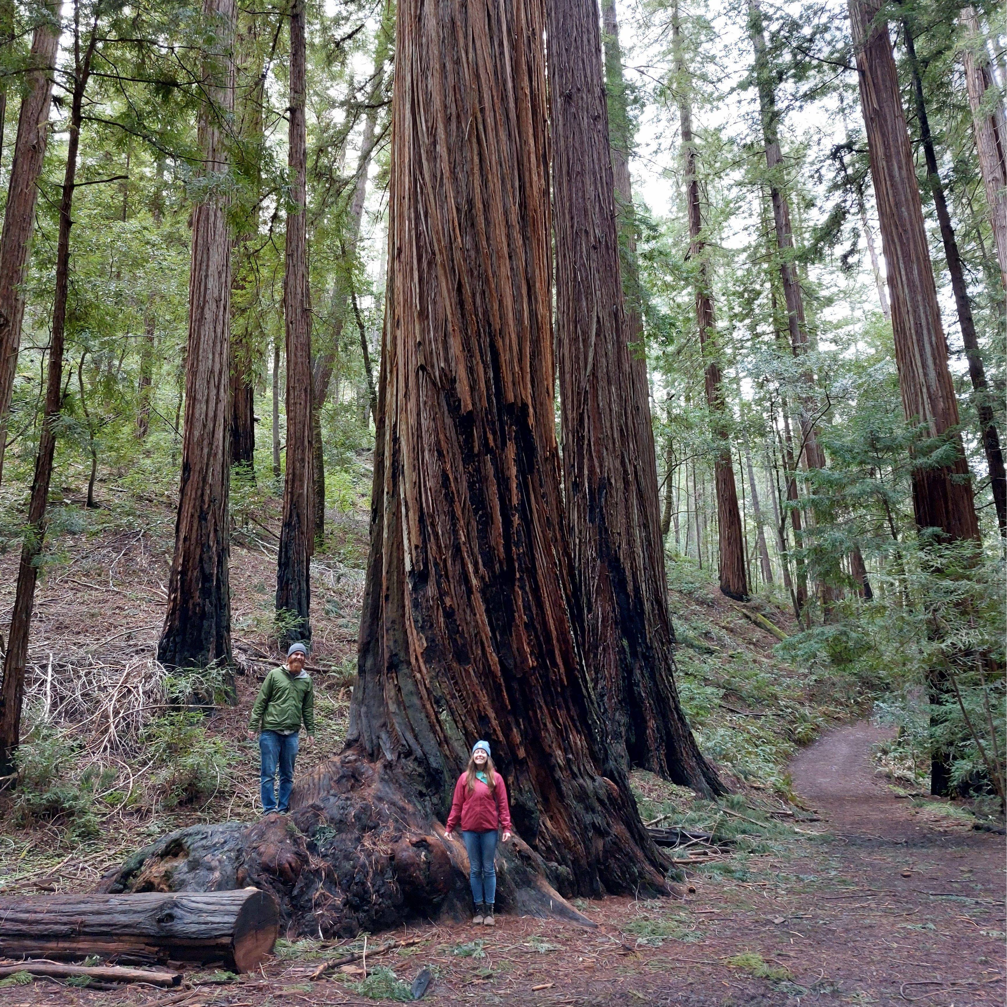 California, March 2023