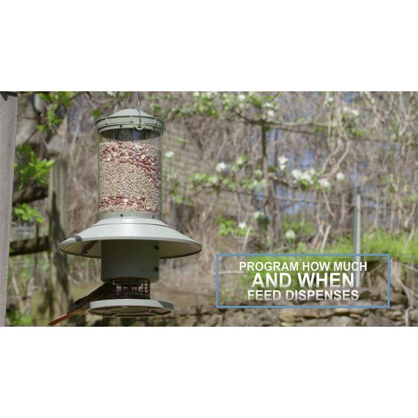 Wingscapes AutoFeeder