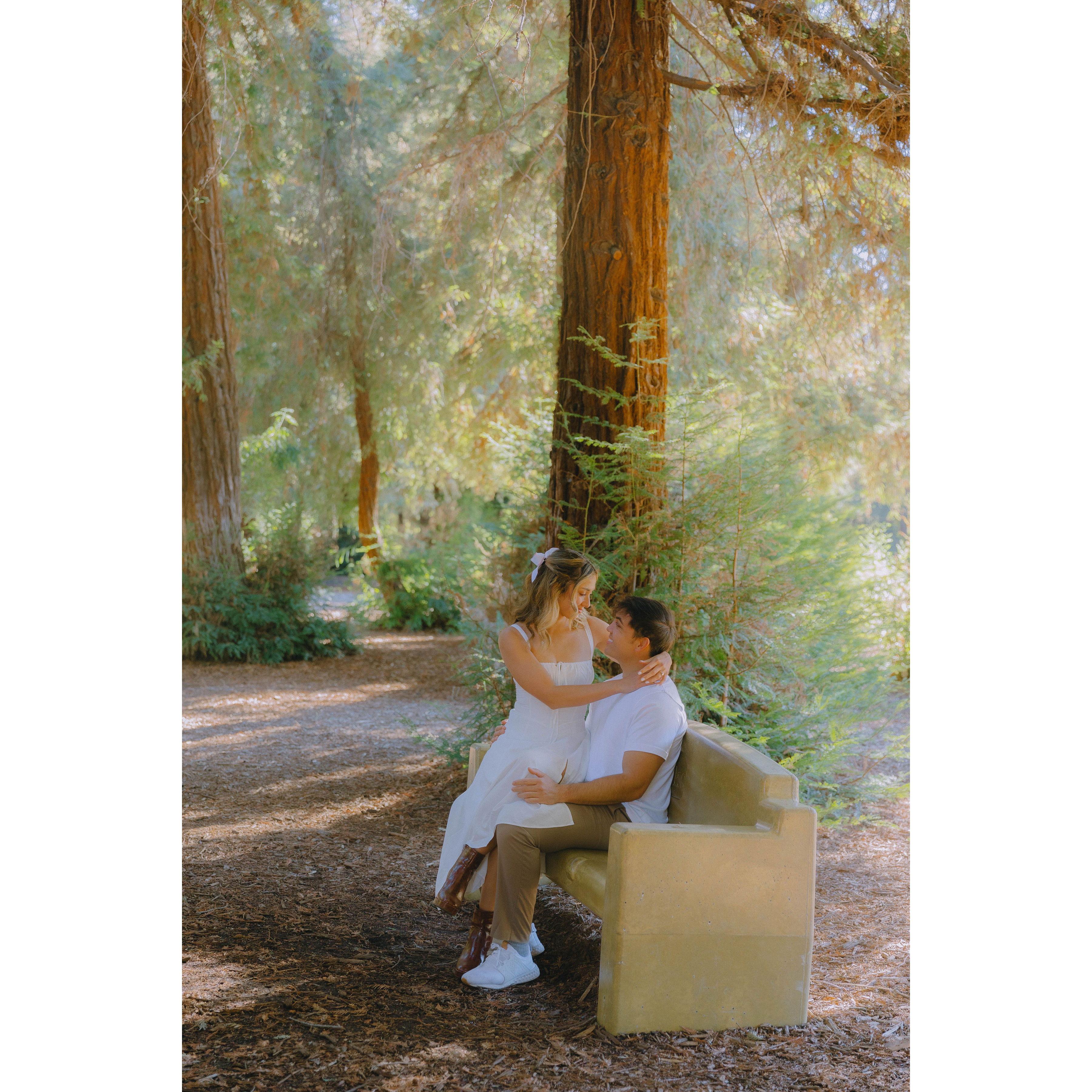 Engagement Shoot
