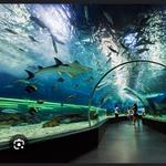 Dubai Aquarium & Underwater Zoo