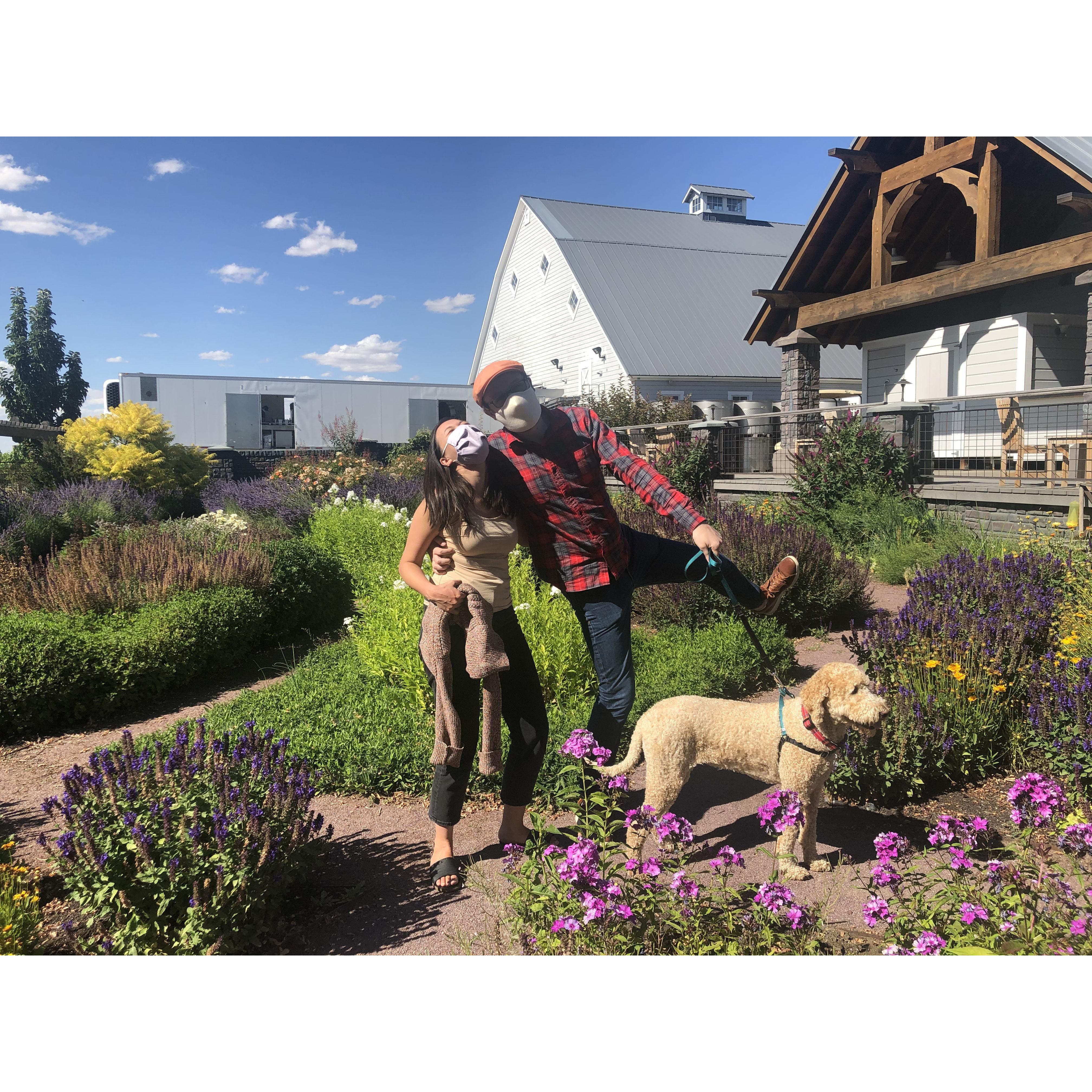 The garden of a Washington State vineyard with Ruby