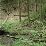 Kalamazoo Nature Center