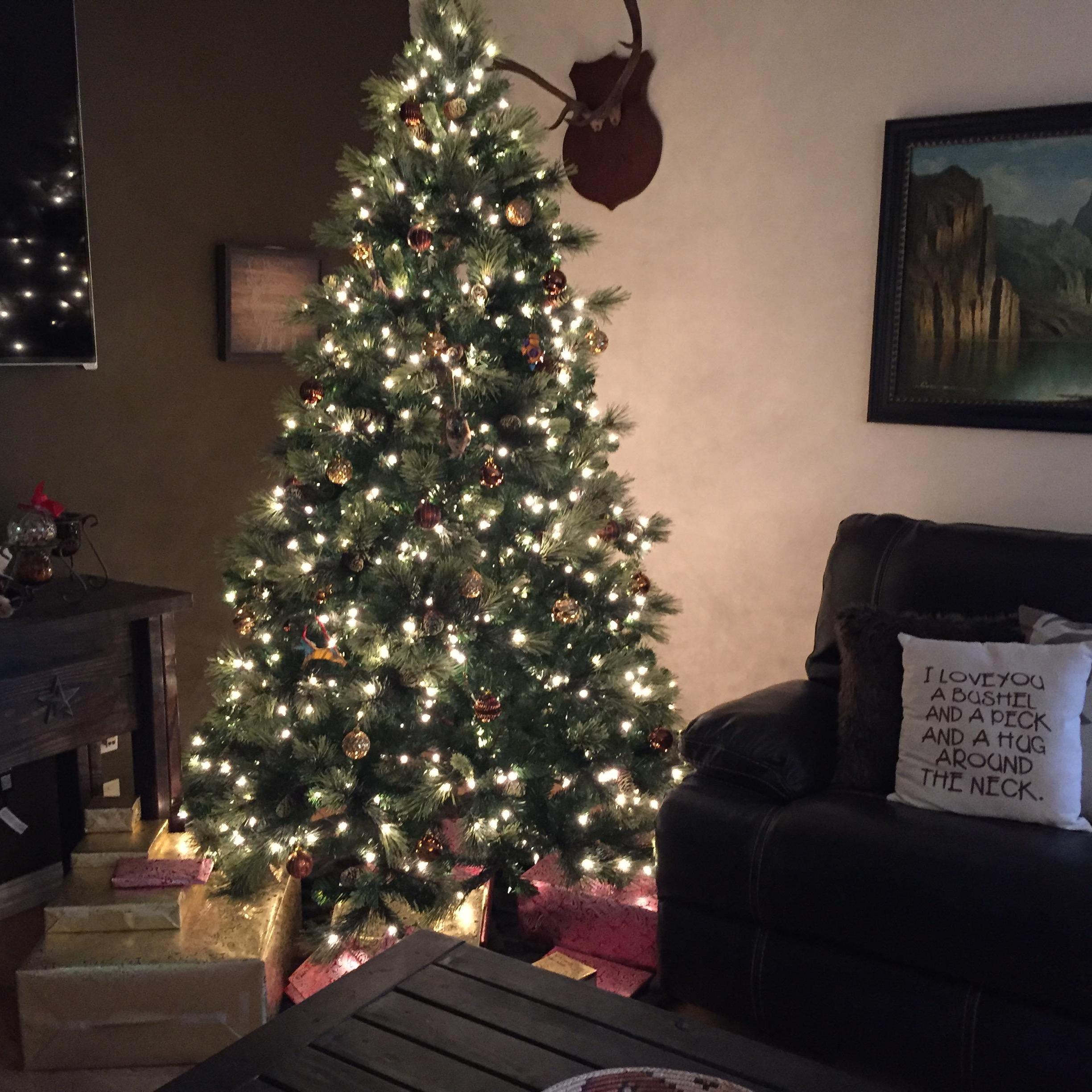Our new new Christmas tree for our first Christmas under the same roof. 2016