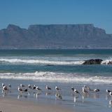 Table Mountain