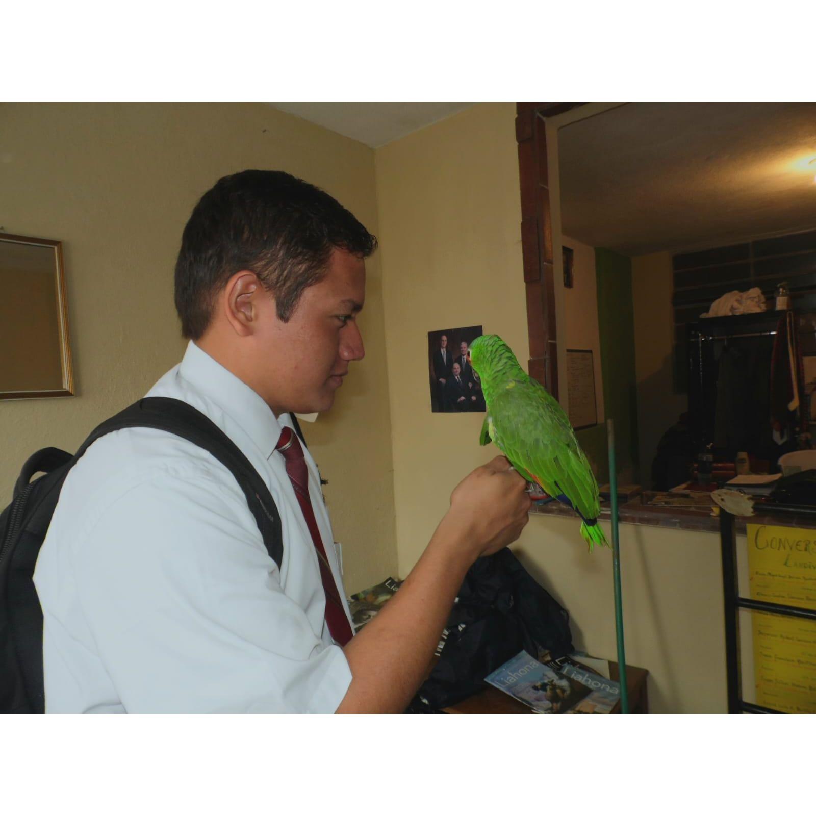 Daniel when he was a missionary in Guatemala with the parrot he rescued :)
