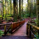 Grand Forest Hike