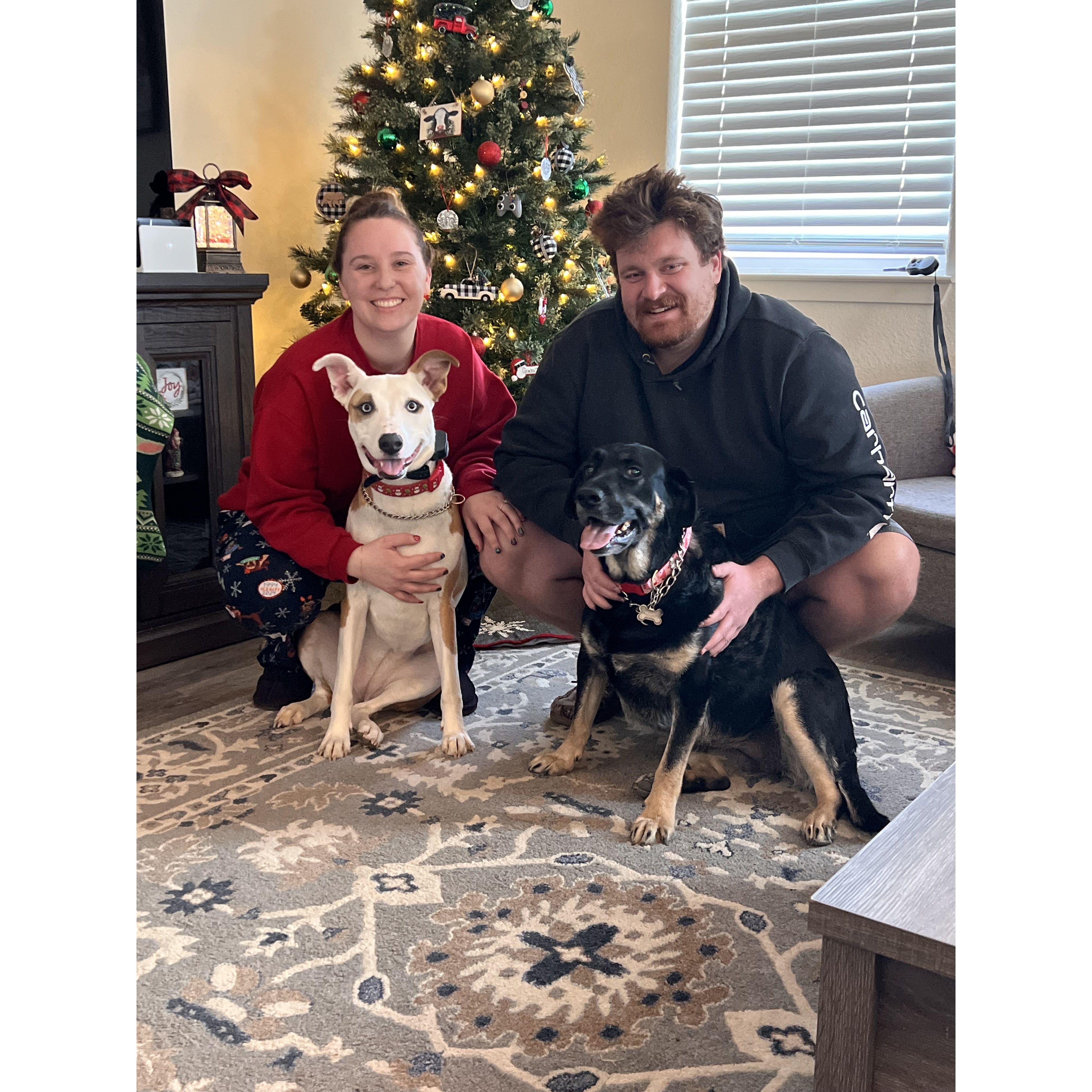 Our first Christmas together with our fur babies!