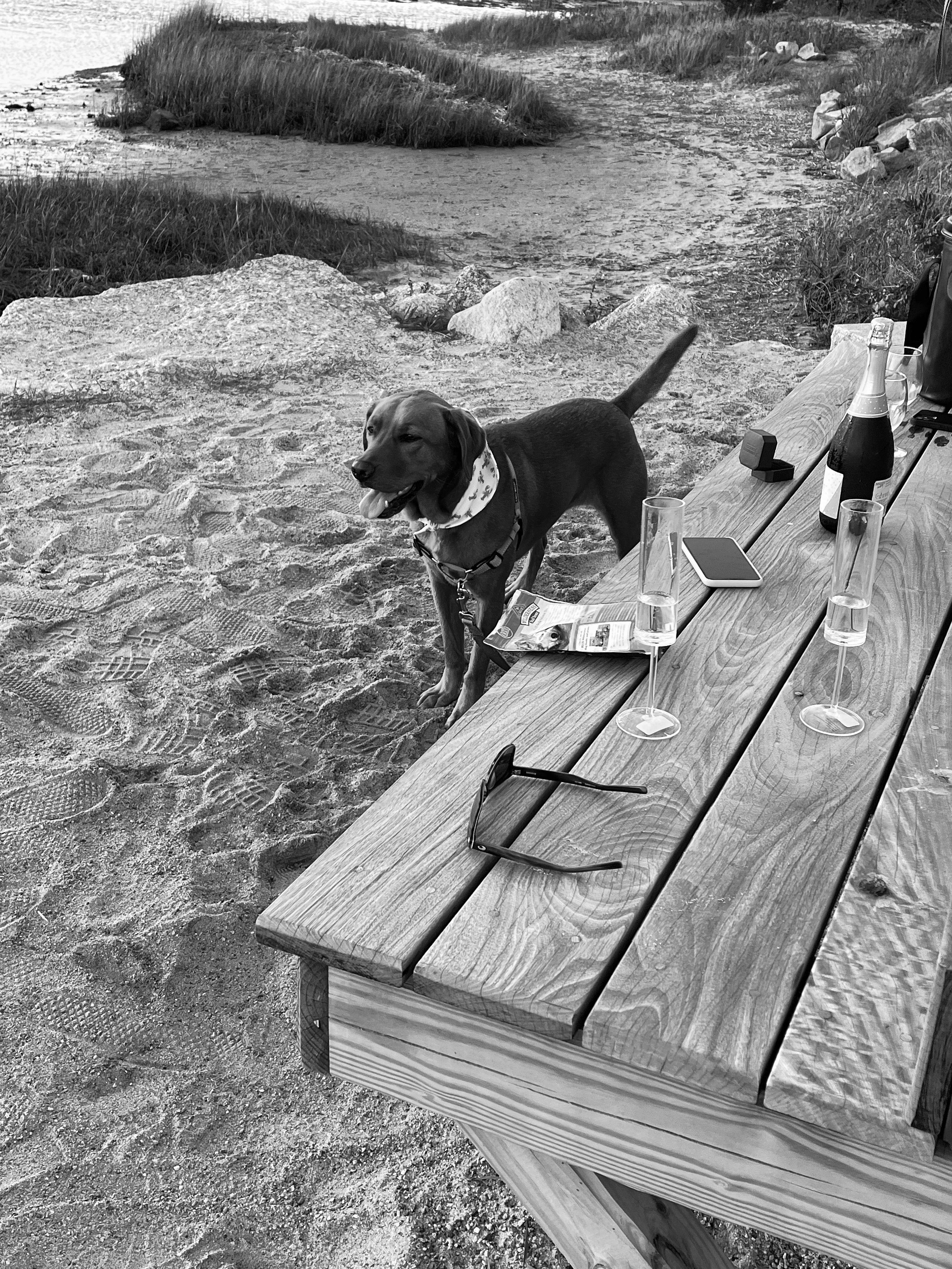 The Wedding Website of Casey Hewett and Andrew Mele