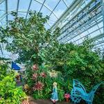 Sophia M. Sachs Butterfly House