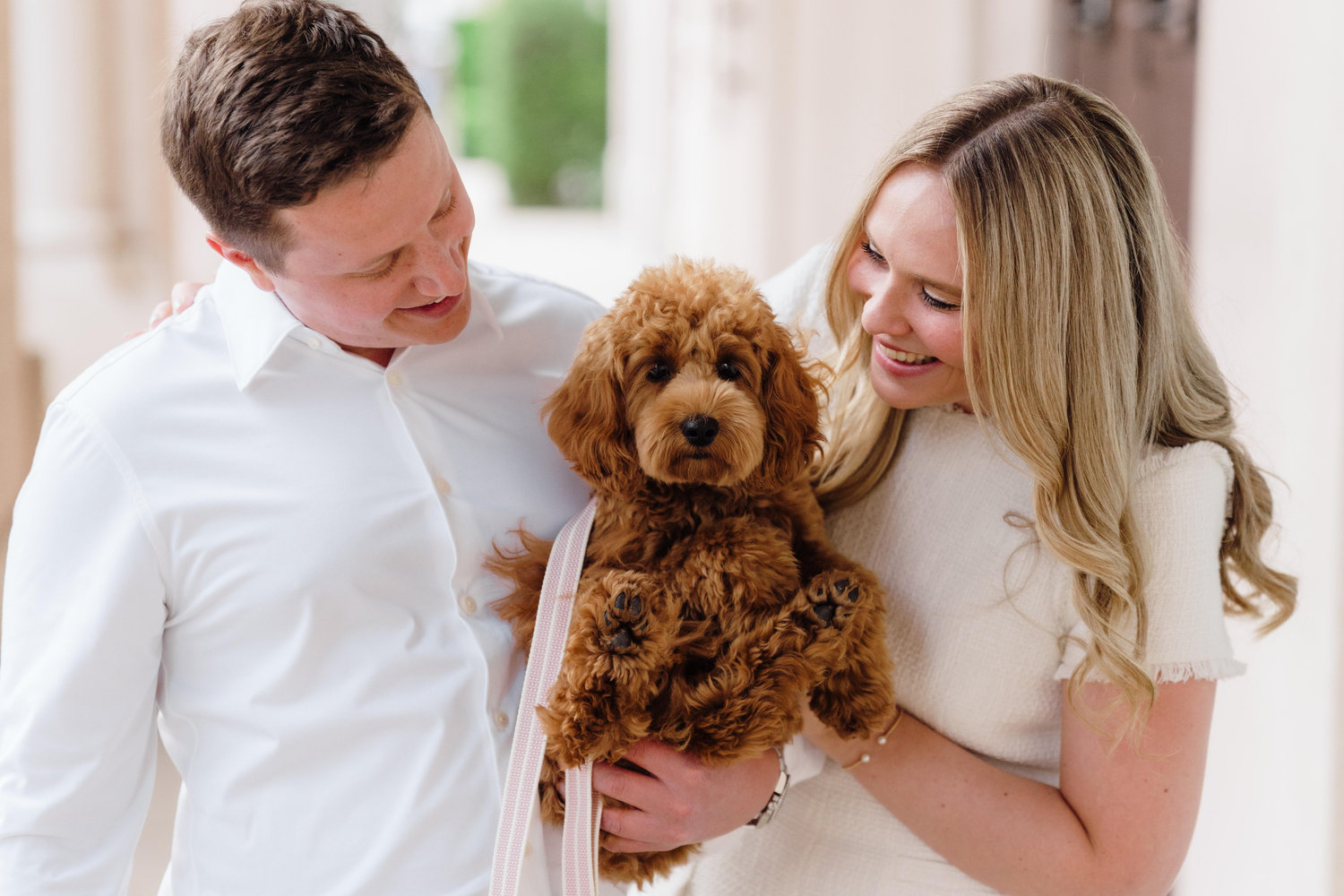 The Wedding Website of Amanda Orenstein and Matthew Crowe
