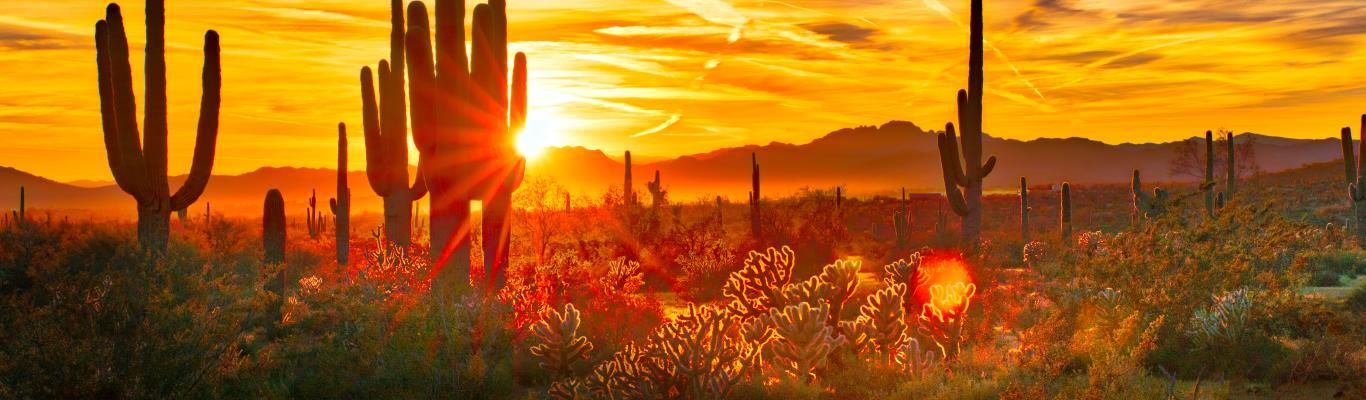 The Wedding Website of Itzel Ruby Chávez Martínez and Zachery Michael Esterline