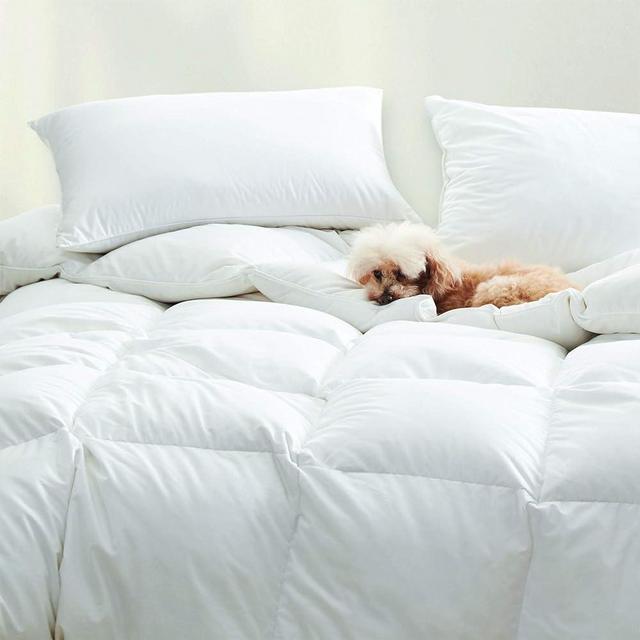 Cuddledown Dreamstead Down Alternative All Season Comforter | Synthetic Fill | 235 Thread Count 100% Cotton Percale Shell | Duvet Insert | Hypoallergenic | Handcrafted | King